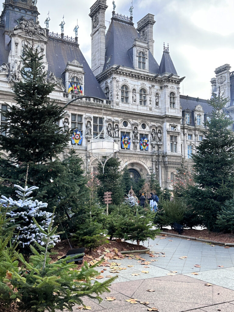The Best Christmas Photo Spots in Paris